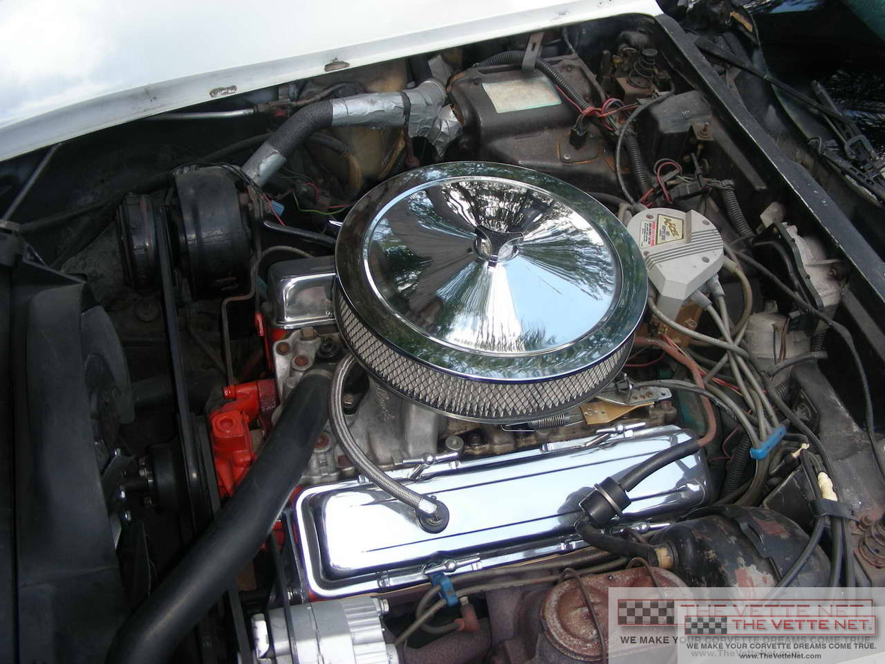TheVetteNet.com - 1978 Corvette T-Top White