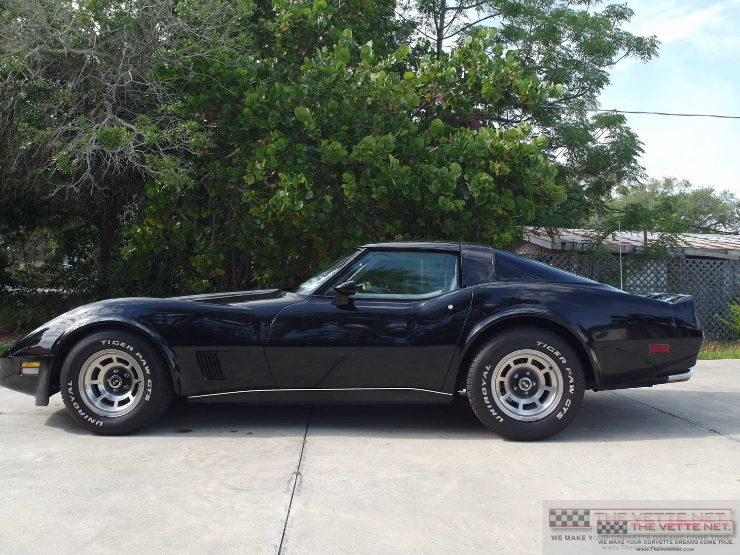 1981 Corvette T-Top Black