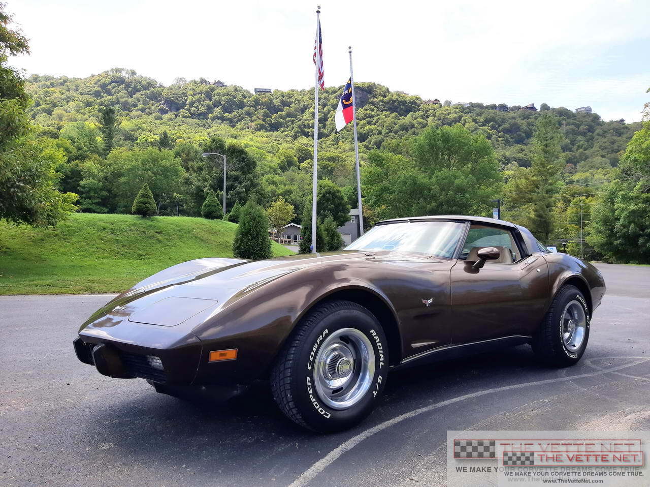 1979 Corvette T-Top Brown Metallic